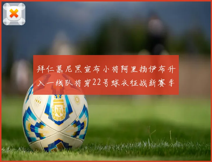 拜仁慕尼黑宣布小将阿里扬伊布升入一线队将穿22号球衣征战新赛季
