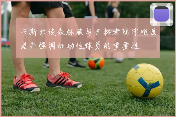 卡斯尔谈森林狼与开拓者防守难度差异强调机动性球员的重要性